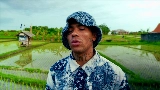 Miniatură video SET ME FREE