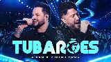 Miniatură video Tubarões - Ao Vivo
