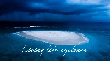 Miniatură video Cyclones