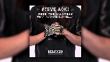 Miniatură video Free The Madness - Steve Aoki & Max Styler Remix