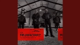 Miniatură video Prywaciarz