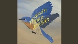 Miniatură video Mississippi River Bluebird