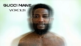 Miniatură video Voices