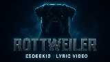 Miniatură video Rottweiler