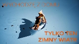 Miniatură video tofu