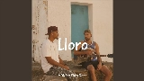 Miniatură video Lloro