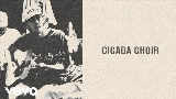 Miniatură video Cicada Choir