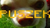 Miniatură video TO PIPY