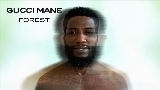 Miniatură video Forest