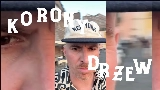 Miniatură video Korony drzew