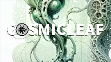 Miniatură video World of fungi