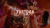 Miniatură video Tortuga
