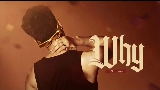 Miniatură video WHY