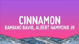 Miniatură video Cinnamon (feat. Albert Hammond Jr)
