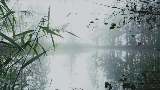 Miniatură video reverie
