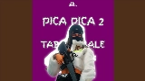 Miniatură video DJ Pica Pica 2 X Tabola Bale